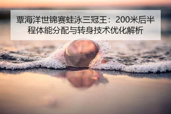 tan-hai-yang-shi-jin-sai-wa-yong-san-guan-wang-mi-hou-ban-cheng-ti-neng-fen-pei-yu-zhuan-shen-ji-shu-you-hua-jie-xi-3-450.jpg