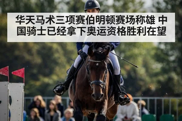 华天马术三项赛伯明顿赛场称雄 中国骑士已经拿下奥运资格胜利在望